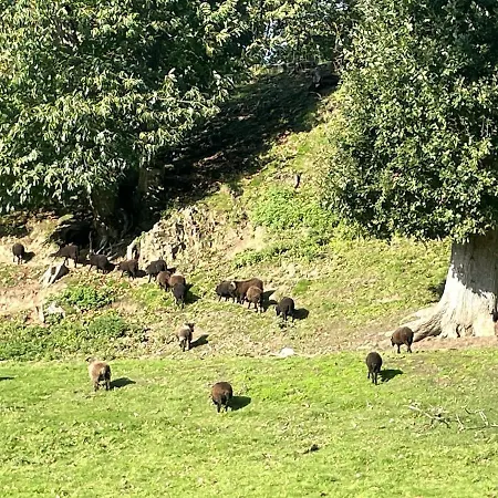 公寓 - Moutons Ouessant - Riviere Trieux Pontrieux