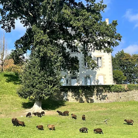 - Moutons Ouessant - Riviere Trieux